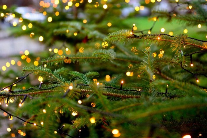 Ilustračný obrázok k článku Mikuášania si obľúbili komunitné vianočné stromčeky: Kde všade ich nájdeme?