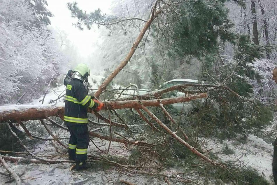 Ilustračný obrázok k článku Ťažký sneh lámal stromy: Hasiči majú za sebou vyše 60 výjazdov a ešte nekončia, FOTO