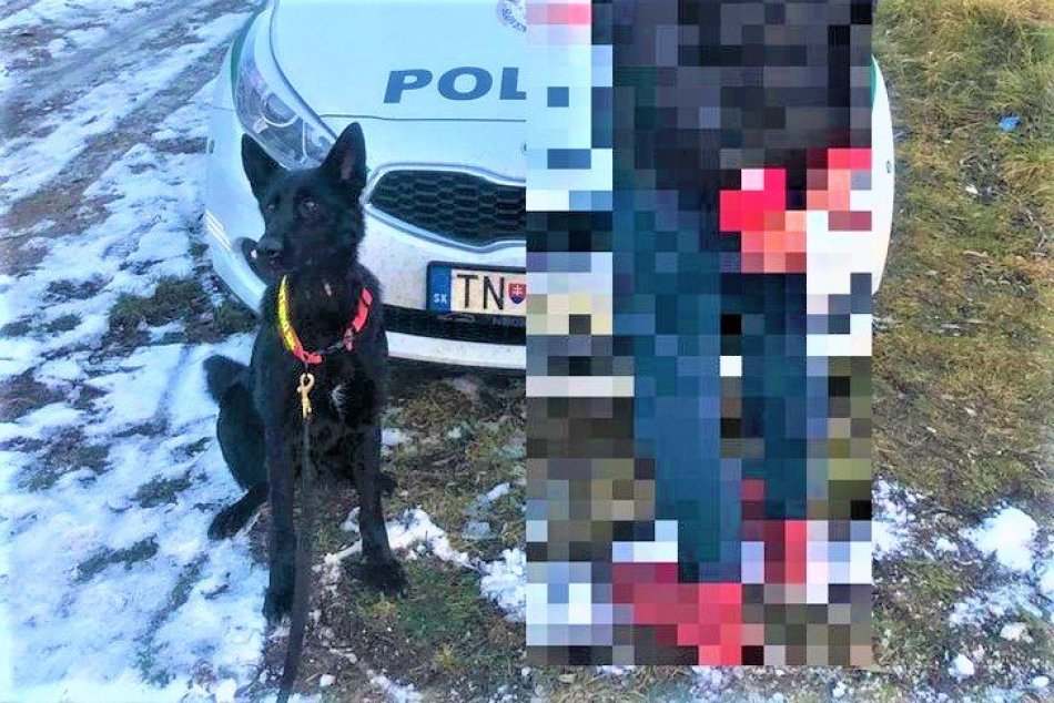 Ilustračný obrázok k článku Drogová kauza v Nemšovej: Policajná sučka Heňa všetko vyňuchala, FOTO