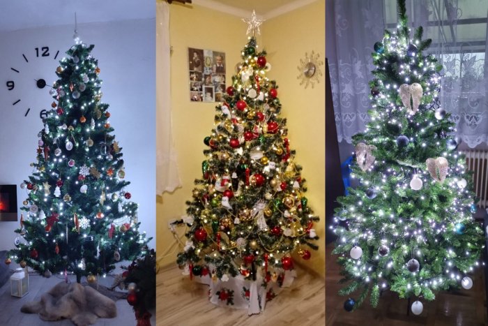 Ilustračný obrázok k článku Zámčania ukázali svoje vianočné stromčeky: Sledujete tú nádheru, FOTO od vás!