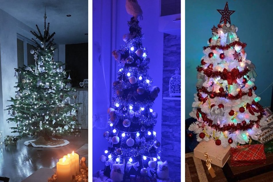 Ilustračný obrázok k článku Vianočná nádhera z domovov Revúčanov: Pochválili sa klasikou aj KURIÓZNYMI stromčekmi, FOTO