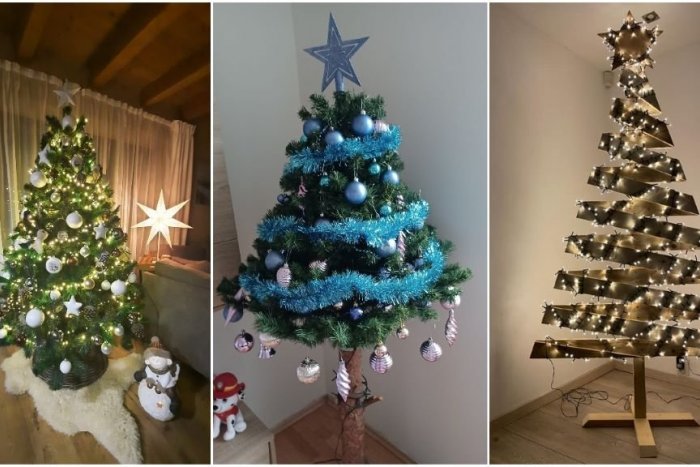Ilustračný obrázok k článku Vianočné stromčeky v domácnostiach Košičanov: Popri klasike sa objavili aj ORIGINÁLNE kúsky
