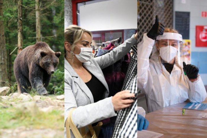 Ilustračný obrázok k článku Bezpeňažný obchod aj medvede: TOP 5 článkov roku 2021, ktoré vás zaujali najviac