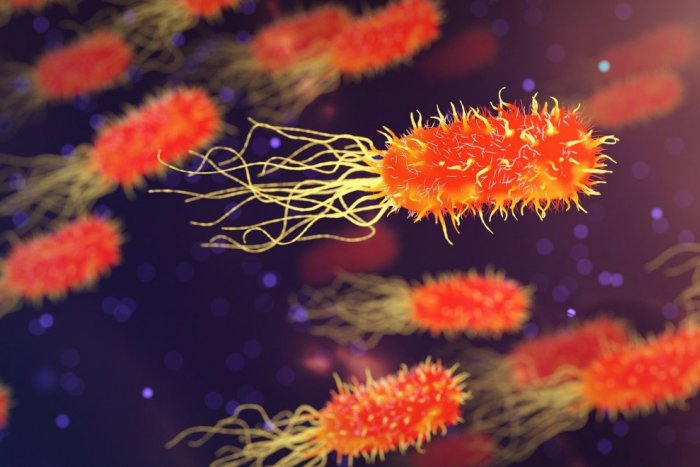 Ilustračný obrázok k článku SUPER odolné baktérie zabijú ročne vyše MILIÓN ľudí: Antibiotiká prestávajú fungovať