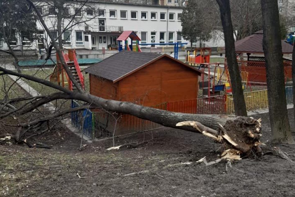 Ilustračný obrázok k článku FOTO: Víchrica robí v Bratislave poriadnu paseku, vietor LÁME stromy a berie STRECHY