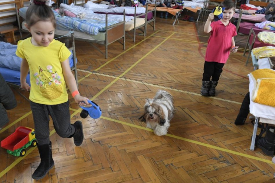 Ilustračný obrázok k článku V Bystrici sa chystá veľká vec: Ukrajinské deti zapíšu do škôl a škôlok