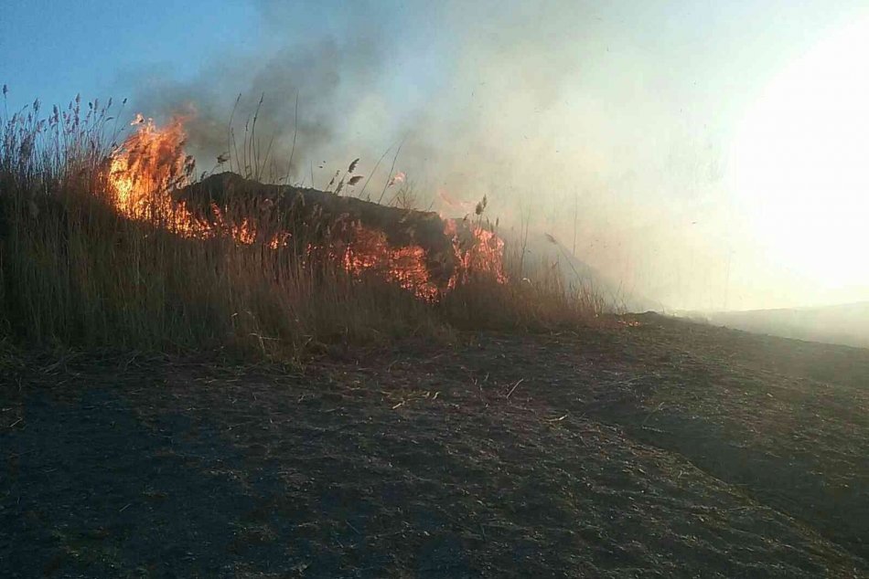 Ilustračný obrázok k článku Prievidzskí hasiči v nasadení: Požiar pri bani Cigeľ, FOTO