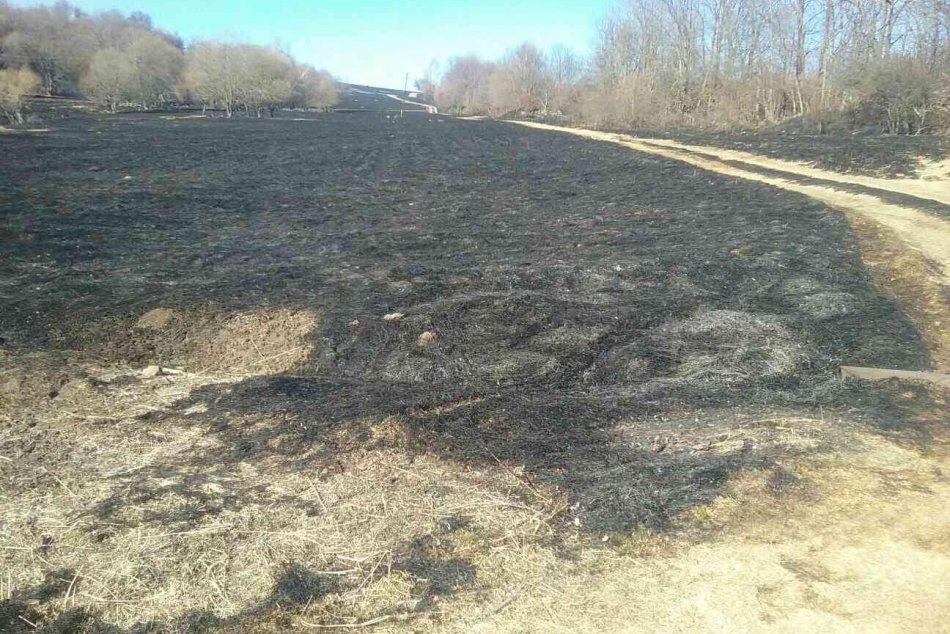 Ilustračný obrázok k článku V Detvianskom okrese opäť horí: Plamene zachvátili les a lúky o rozlohe asi 25 hektárov