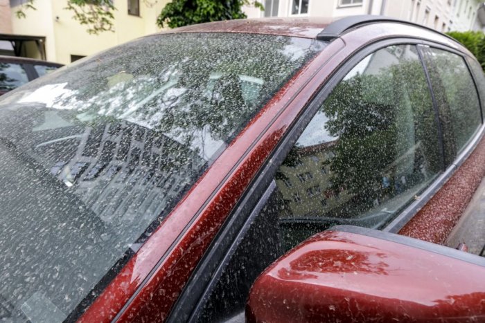 Ilustračný obrázok k článku Na Slovensku padá SAHARSKÝ prach: Zafarbí rannú oblohu, ale aj naše autá