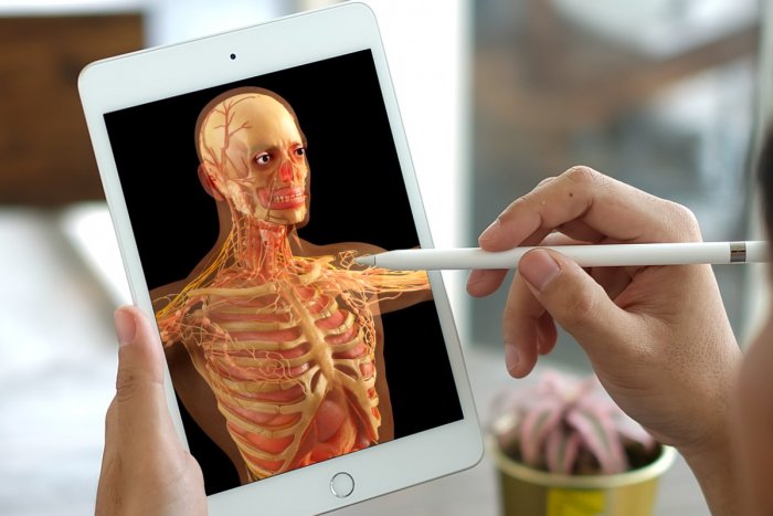 Ilustračný obrázok k článku Ľudské telo je plné aj ŠTEKLIVÝCH záhad: TOP fakty, ktoré ste o ňom nevedeli