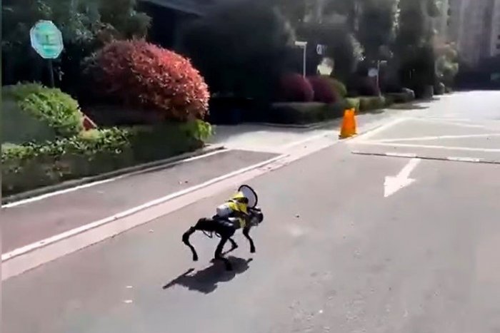 Ilustračný obrázok k článku Robotický pes so ženským hlasom: Ľudí vydesilo PODIVNÉ STVORENIE, čo to je? VIDEO