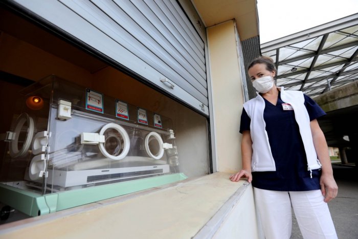 Ilustračný obrázok k článku Košické hniezdo záchrany pomohlo už 20 novorodencom. Kontrolujú ho dvakrát denne