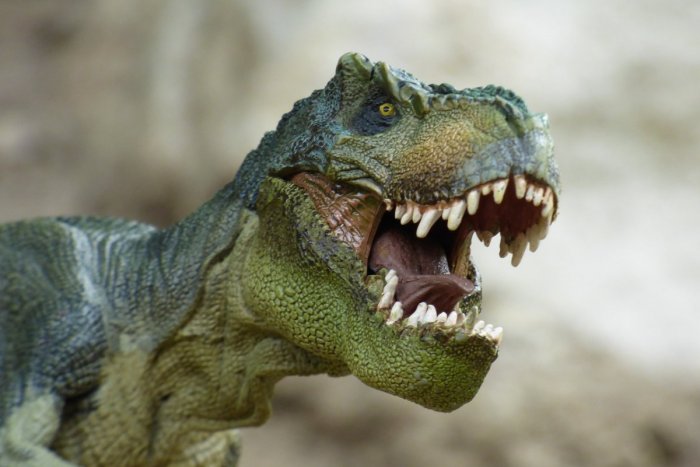 Ilustračný obrázok k článku Deti spoznajú svet dinosaurov: Múzeum predstavuje ríšu dávno vyhynutých tvorov