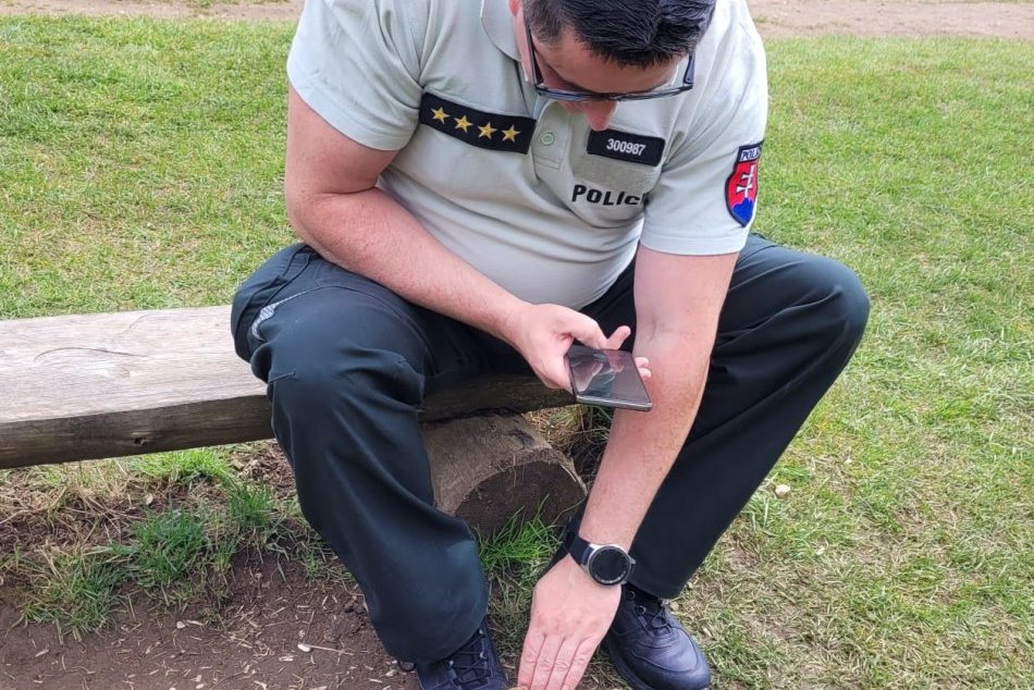 Ilustračný obrázok k článku Policajti prekvapili štvornohých drobcov: KOMU sa to vybrali dohovárať? FOTO