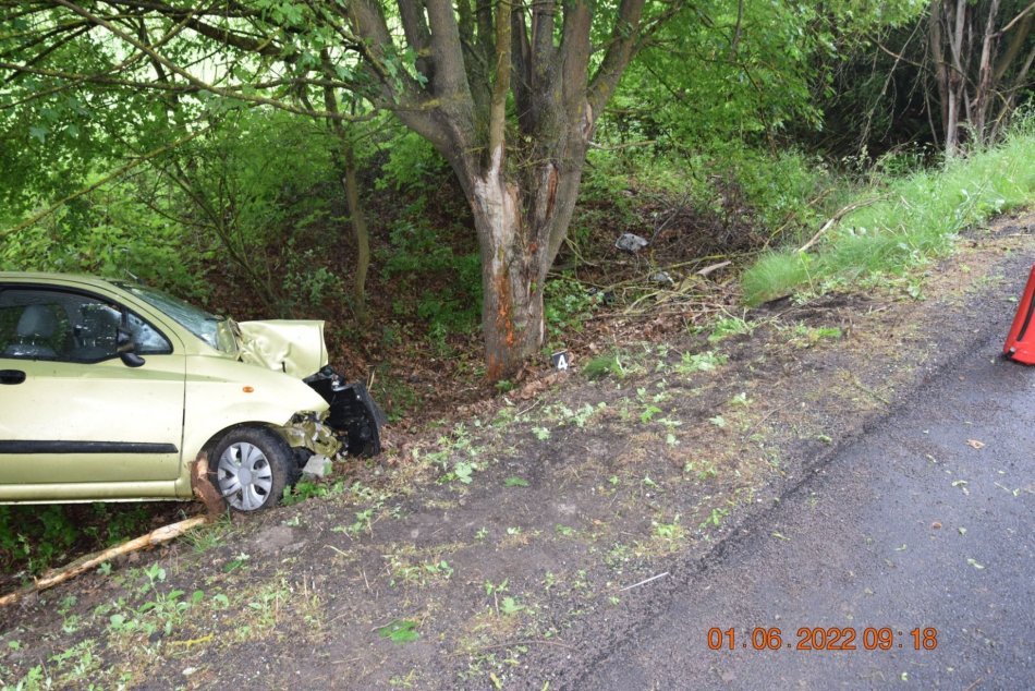 Ilustračný obrázok k článku Neďaleko Lučenca vrazilo auto do stromu: Na mieste boli všetky záchranné zložky! FOTO