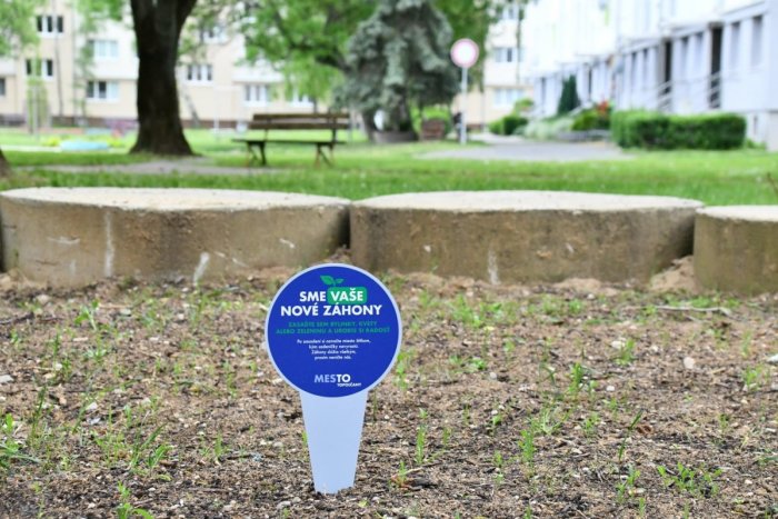 Ilustračný obrázok k článku Aj vy si môžete vysadiť bylinky: Mesto vybudovalo záhony pre obyvateľov sídlisk