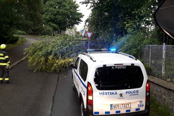Ilustračný obrázok k článku Nebezpečné búrky zasiahli Česko: Vietor vyvracia stromy, do jedného narazil vlak