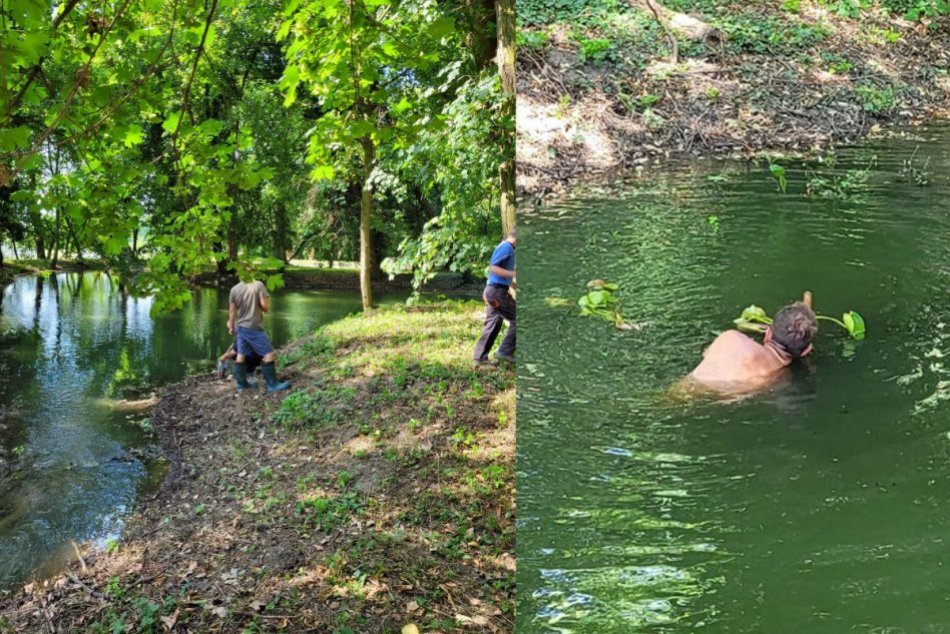 Ilustračný obrázok k článku Sen sa stal skutočnosťou: Neďaleko Nitry obnovili jazierka v historickom parku, FOTO