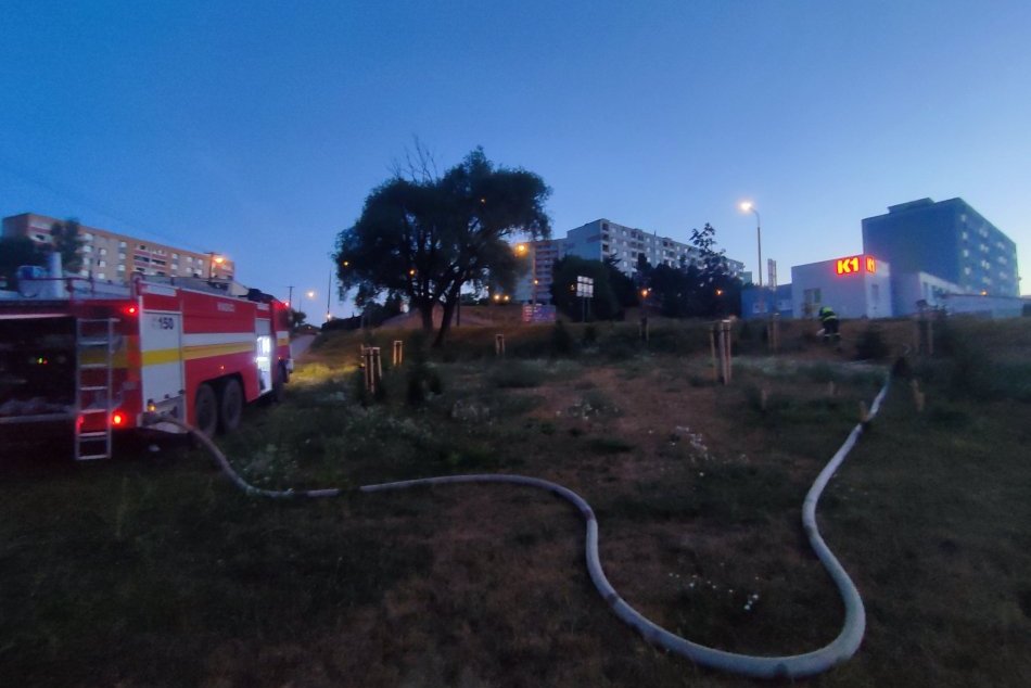 Ilustračný obrázok k článku Boj so suchom v uliciach Bystrice: Aby prežili stromy, pomáha aj hasičská technika, FOTO