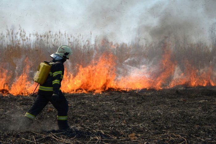 Ilustračný obrázok k článku Požiar polí neďaleko Trnavy: Oheň zničil aj sedem včelích úľov
