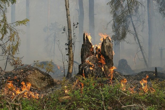 Ilustračný obrázok k článku Dovolenka v Tatrách s novými pravidlami: Kvôli suchu a požiarom platia špeciálne ZÁKAZY