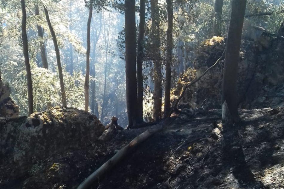 Ilustračný obrázok k článku Hasiči pokračujú v boji s lesným požiarom pri Malej Lodine