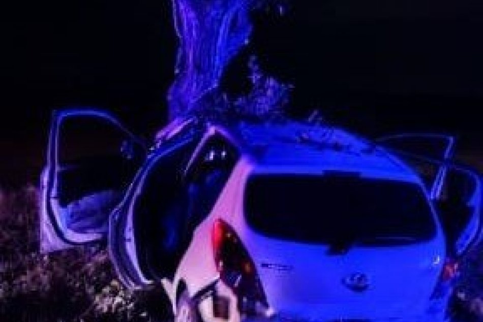 Ilustračný obrázok k článku VÁŽNA nehoda neďaleko Bratislavy: Len 18-ročná vodička to napálila do stromu, FOTO