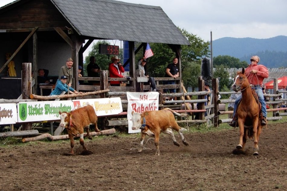 Ilustračný obrázok k článku Najťažšie je ísť k rozbehnutej krave a hodiť na ňu laso: Mengusovce ovládlo rodeo, FOTO