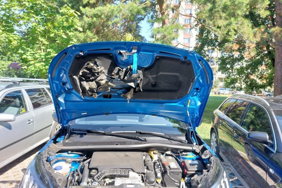 Ilustračný obrázok k článku Prešovčan otvoril kapotu svojho auta a NEVERIL: Naskytol sa mu nepríjemný pohľad, FOTO