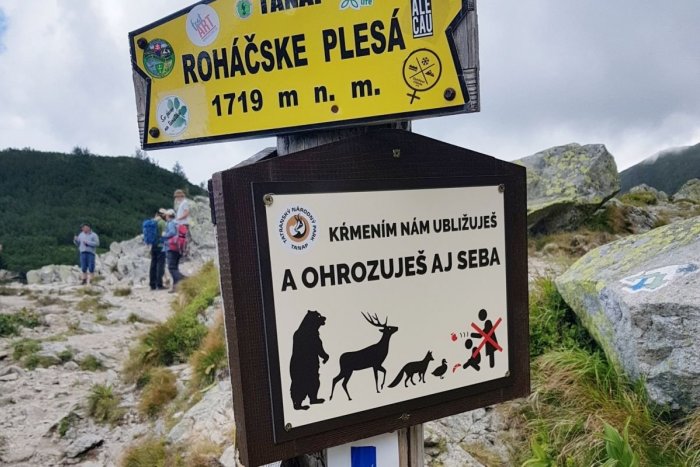 Ilustračný obrázok k článku Turisti, zver v horách NEKŔMTE! Dobroty z batoha môžu mať FATÁLNE následky