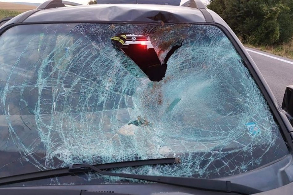 Ilustračný obrázok k článku Náraz odrazil srnu do ďalšieho auta: Prerazila čelné sklo, skončila v interiéri