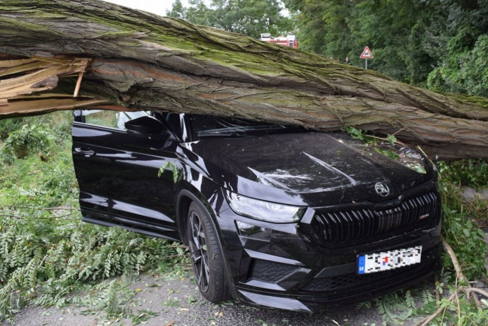Ilustračný obrázok k článku Na auto počas jazdy SPADOL mohutný strom: Posádku od TRAGÉDIE delili centimetre