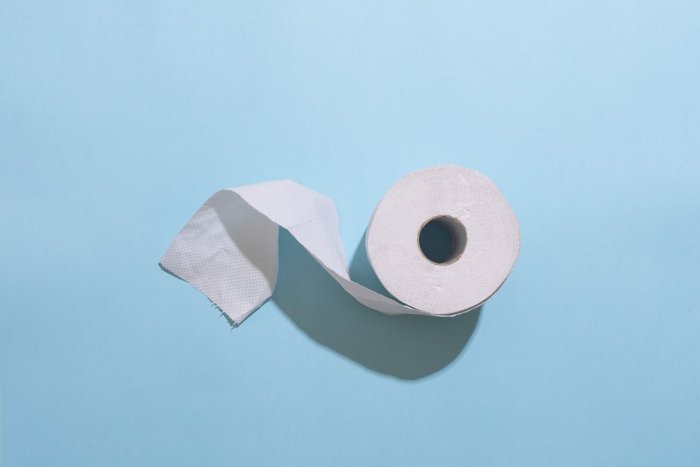 Ilustračný obrázok k článku Kvôli plynovej kríze hrozí NEDOSTATOK dôležitého tovaru: Budeme bez toaletného papiera?