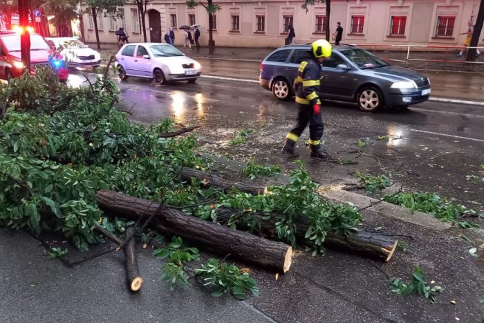 Ilustračný obrázok k článku TRAGÉDIA v Česku: Silné búrky majú prvú obeť, muža usmrtil strom