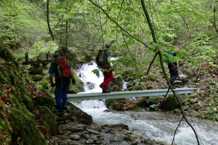 Ilustračný obrázok k článku Mostíky na turistických trasách sú PROBLÉM: Ohrozujú návštevníkov aj horských záchranárov