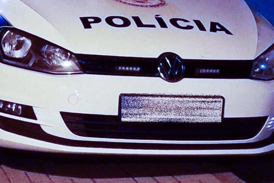 Ilustračný obrázok k článku Na policajtov dohliadal nočný STRÁŽCA: Pozrite, kto si ustlal na aute mužov zákona! FOTO