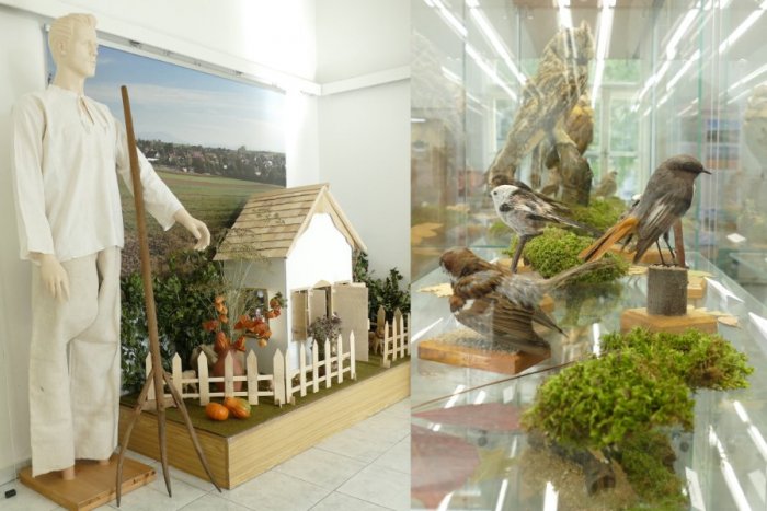 Ilustračný obrázok k článku Človek verzus príroda: V Topoľčanoch pripravili ďalšie lákadlo