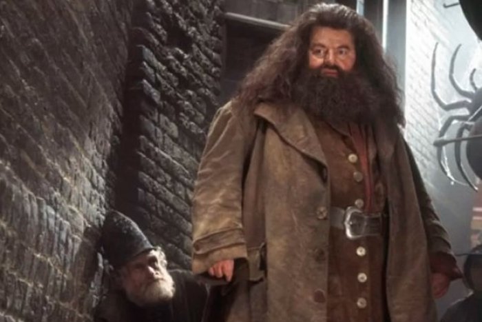Ilustračný obrázok k článku Fanúšikovia Harry Pottera v slzách: Do hereckého neba navždy odišiel starý dobrý Hagrid