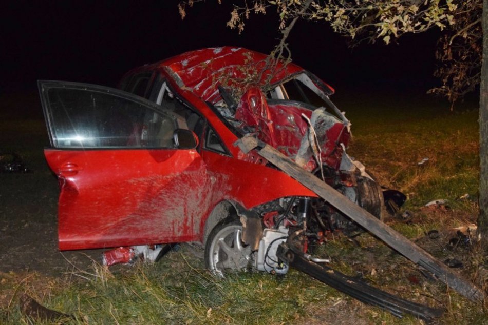 Ilustračný obrázok k článku Nočná TRAGÉDIA neďaleko Nových Zámkov: Po náraze do stromu zomrel vodič