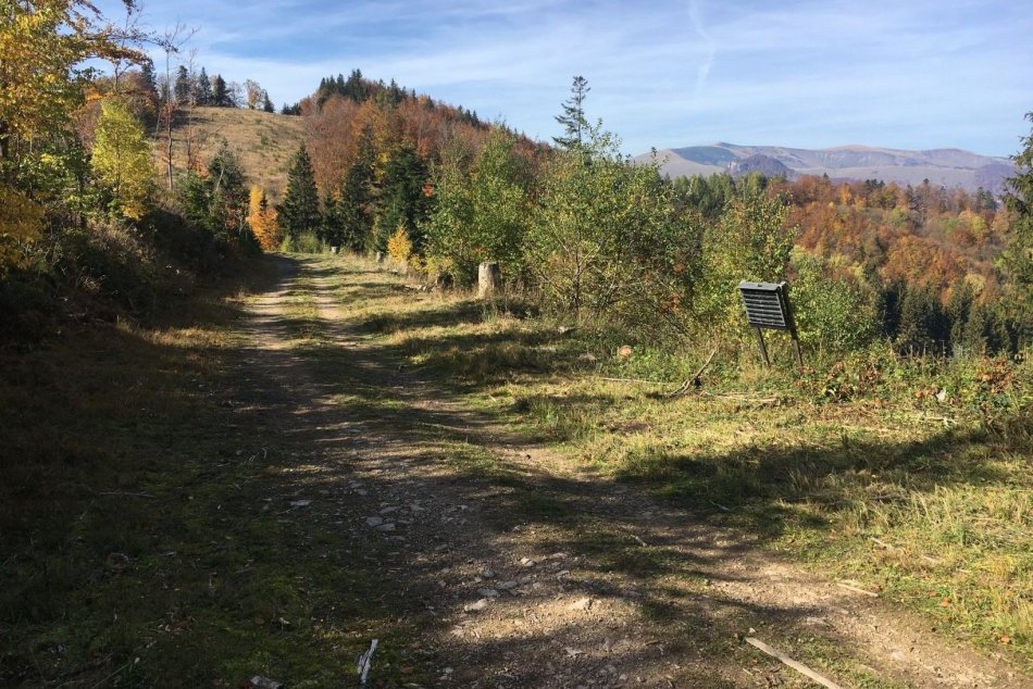 Ilustračný obrázok k článku Bežkárske trate prešli údržbou: V kopcoch pri Bystrici pomohla aj NOVINKA, FOTO