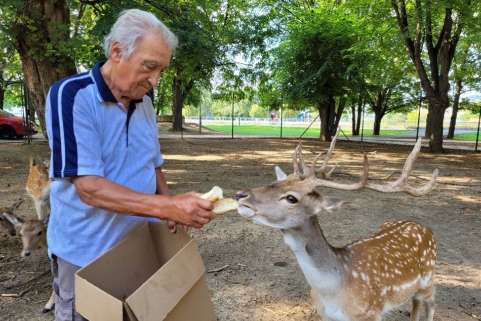 Ilustračný obrázok k článku Jozef má 80, no stále sa stará o zvieratá v parku: Neostanem sa vyvaľovať na gauči, odkazuje