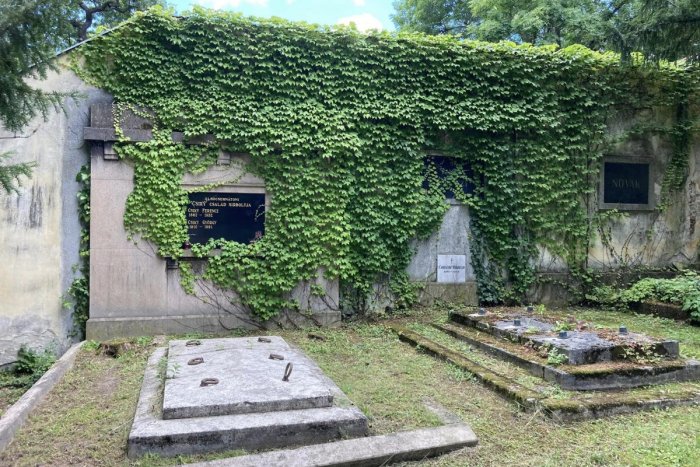Ilustračný obrázok k článku Cintorín plný TAJOMNA: Staré hroby obrastené brečtanom navodzujú ZIMOMRIAVKOVÚ atmosféru