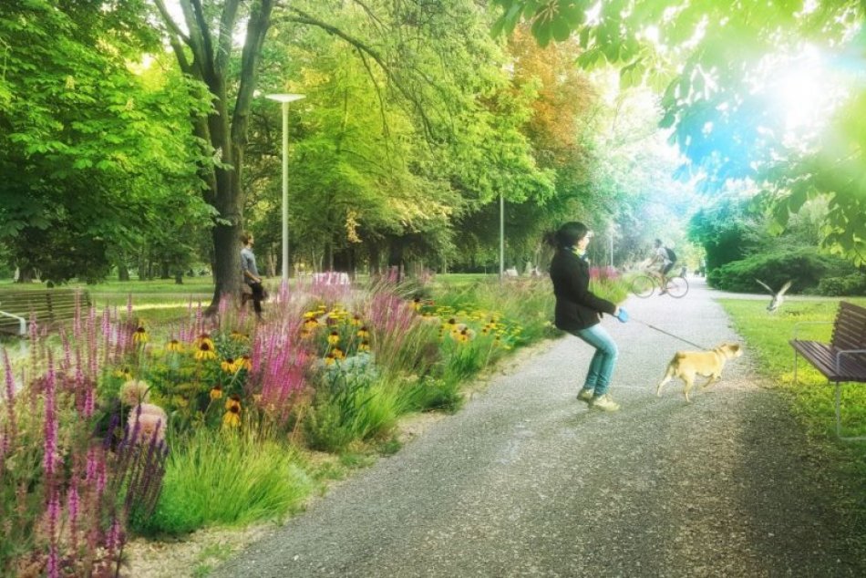 Ilustračný obrázok k článku Nový park rozkvitne do krásy: Prechádzku budú celoročne spríjemňovať trvalky, FOTO