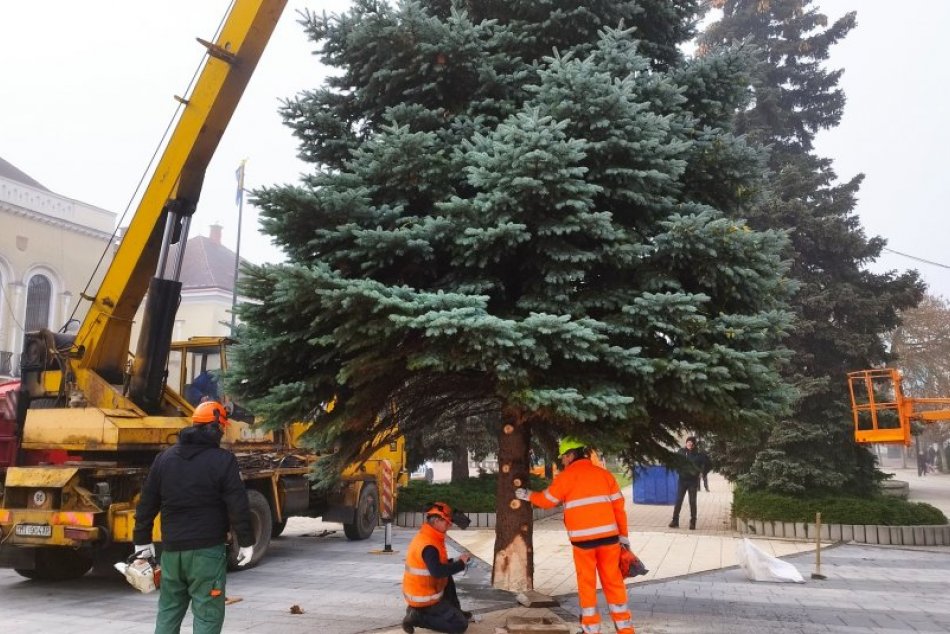 Ilustračný obrázok k článku FOTO: Vianočný stromček už zdobí michalovské námestie: Kedy sa ROZSVIETI?