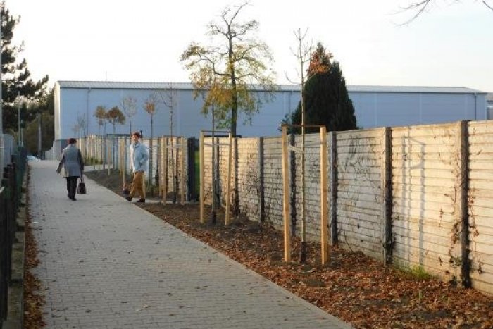 Ilustračný obrázok k článku Hrboľatý chodník a staré stromy nahradili novými: Mesto ukončilo ďalšiu revitalizáciu