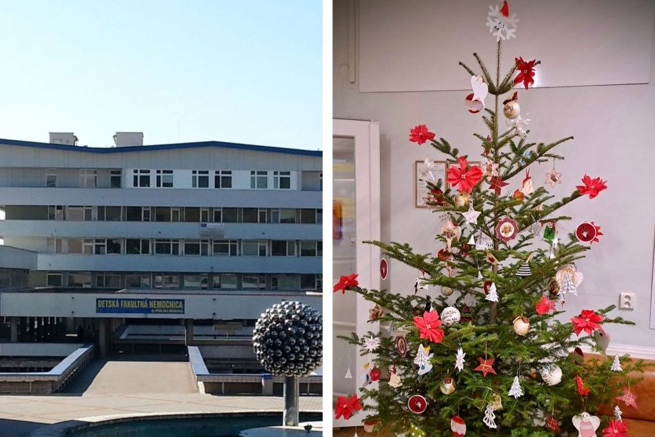 Ilustračný obrázok k článku Malí pacienti dostali DARČEK od lesníkov: Vianočnému stromčeku vybrali krásne MENO