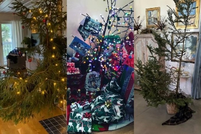 Ilustračný obrázok k článku FOTO: Najškaredšie vianočné stromčeky? Aj po výzdobe môžu vyzerať BIZARNE, ale robia radosť
