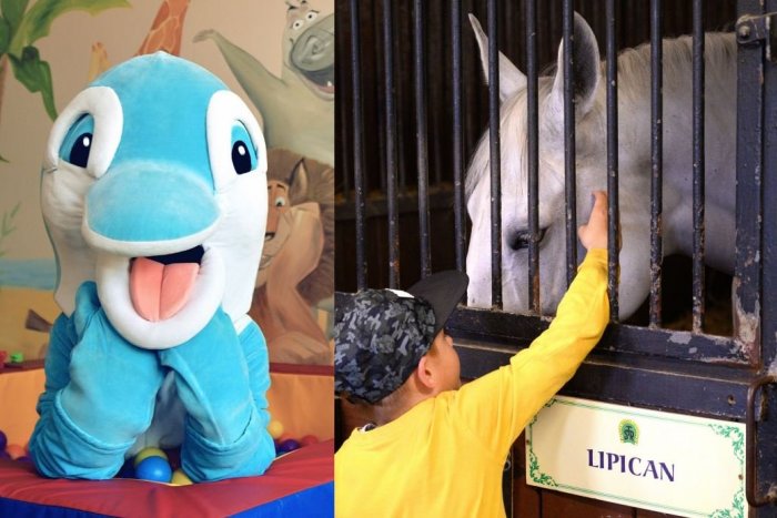 Ilustračný obrázok k článku Kam na jarné PRÁZDNINY? Užite si s deťmi kúpanie aj výlety do prírody