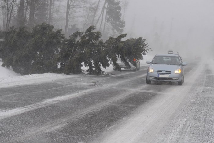 Ilustračný obrázok k článku Pozor, na Slovensko sa RÚTI víchrica ULF: Okrem zmeny počasie môže NAPÁCHAŤ aj škody!
