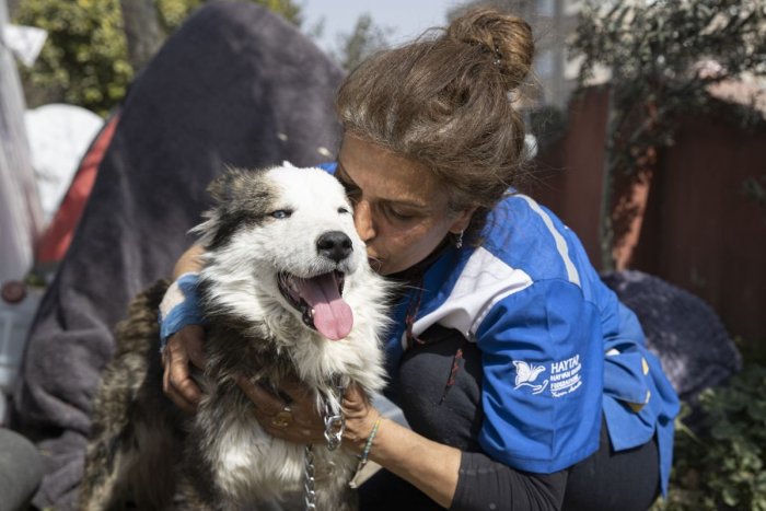 Ilustračný obrázok k článku ZÁZRAK tri týždne po ničivom zemetrasení: Záchranári vytiahli z trosiek ŽIVÉHO psa